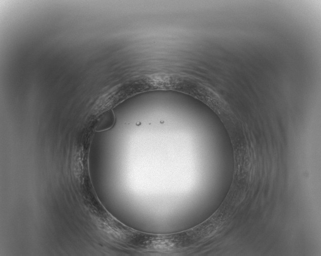 X0000054390702200508051648