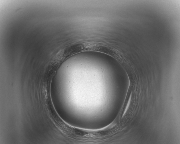 X0000054390703200508051648