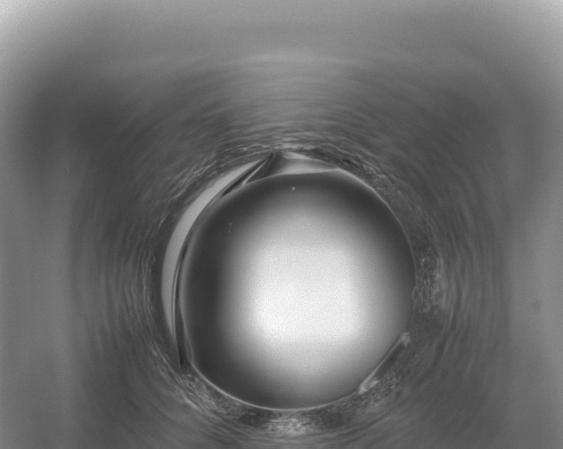 X0000054390704200508051647