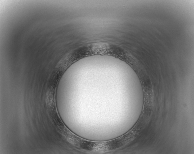 X0000054390705200508051647