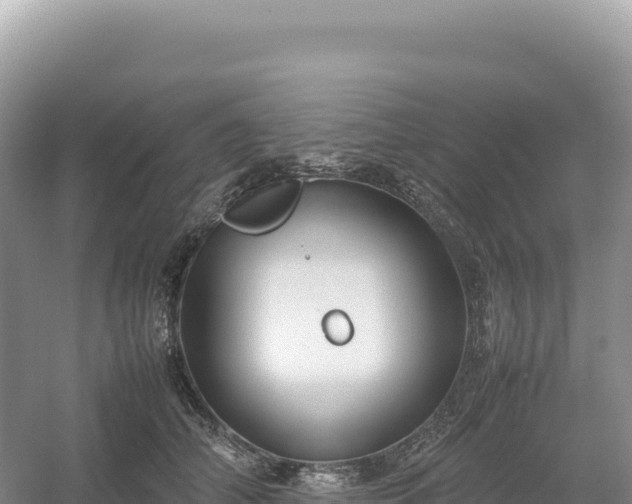 X0000054390706200508051647