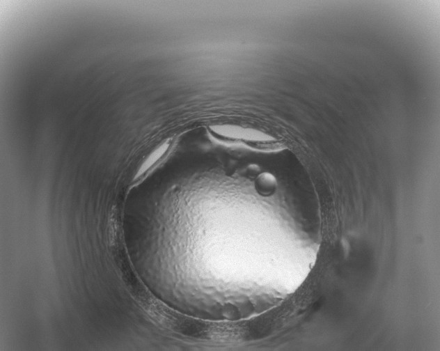 X0000054390707200508051647