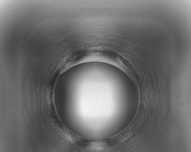 X0000054390708200508051647