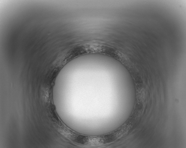 X0000054390709200508051647