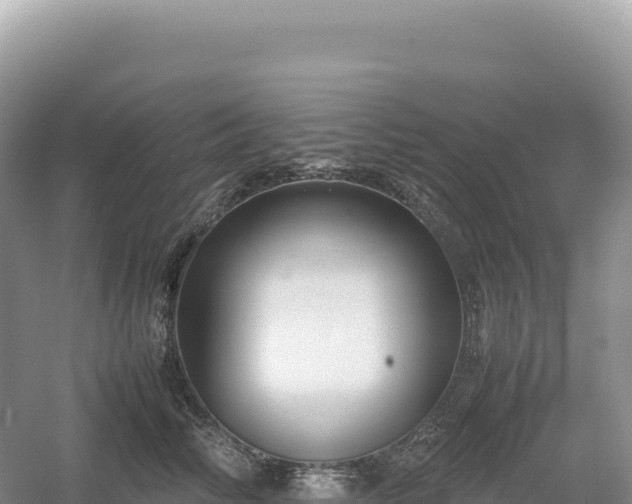 X0000054390710200508051647