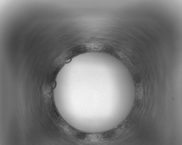 X0000054390713200508051647