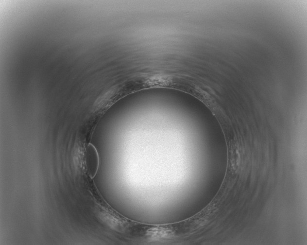 X0000054390714200508051647