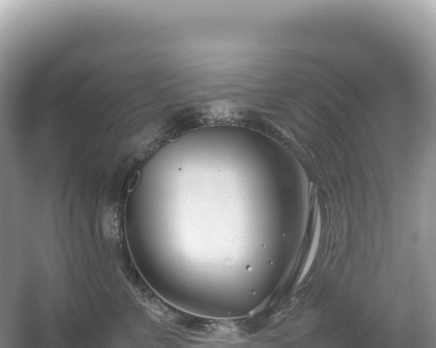 X0000054390715200508051647