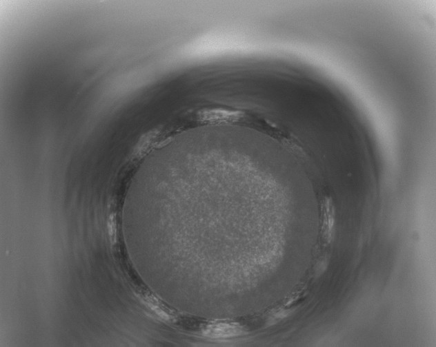 X0000054390716200508051647