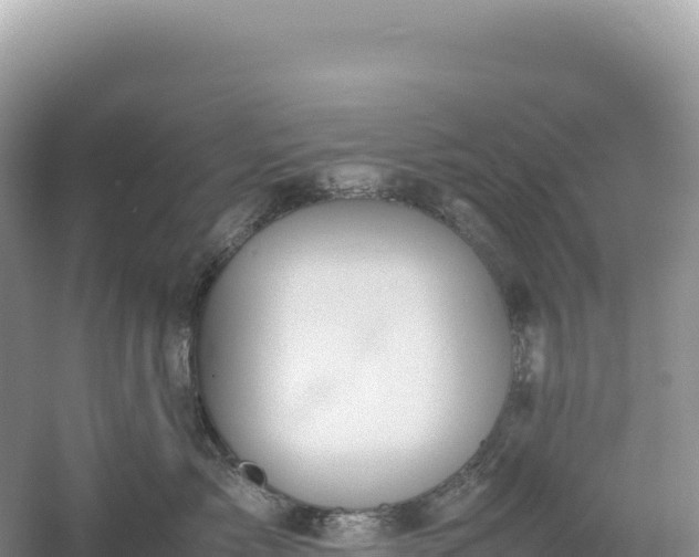 X0000054390717200508051647