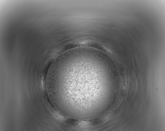 X0000054390718200508051647