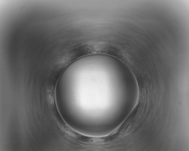 X0000054390719200508051647