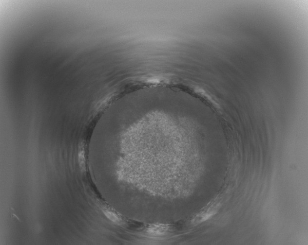 X0000054390720200508051647