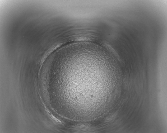 X0000054390721200508051646