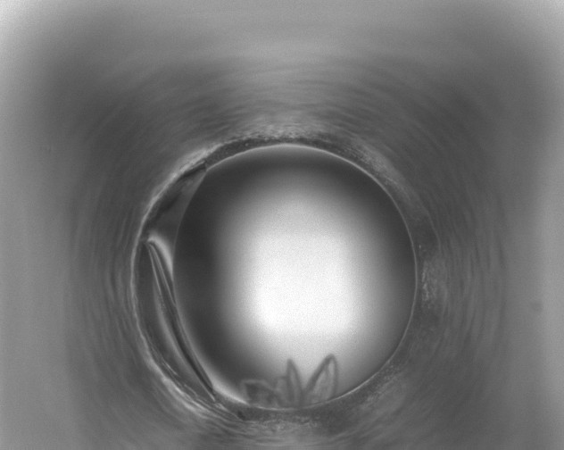 X0000054390722200508051646