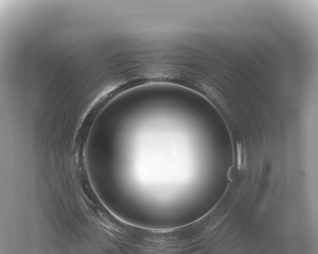 X0000054390723200508051646