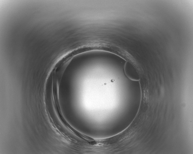 X0000054390724200508051646