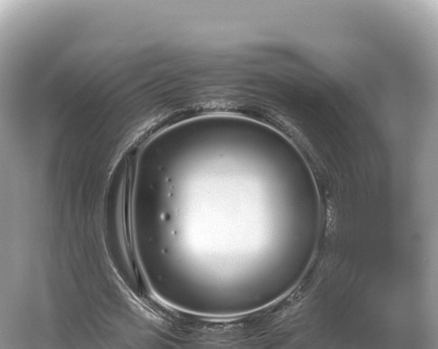 X0000054390725200508051646