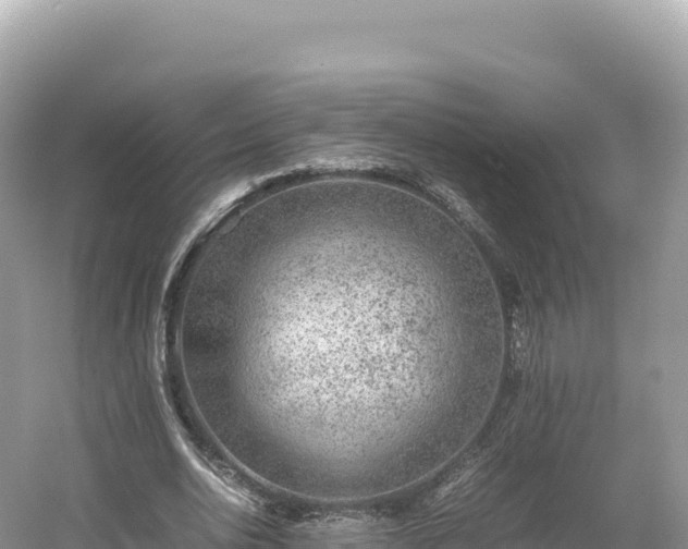 X0000054390726200508051646