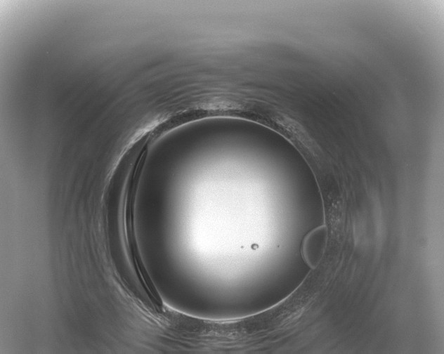 X0000054390727200508051647