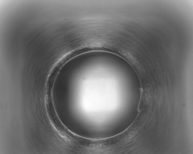 X0000054390728200508051647