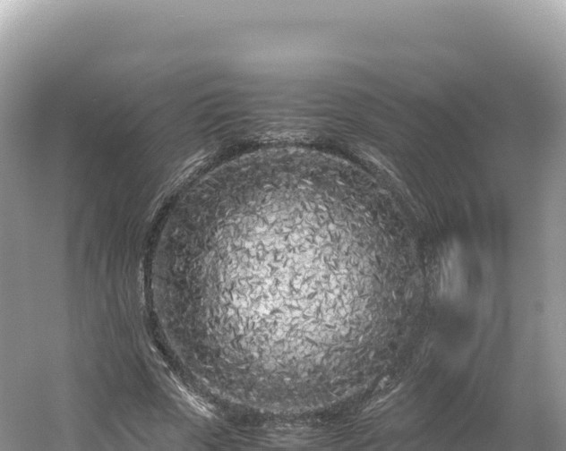 X0000054390729200508051647