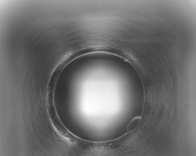 X0000054390730200508051647