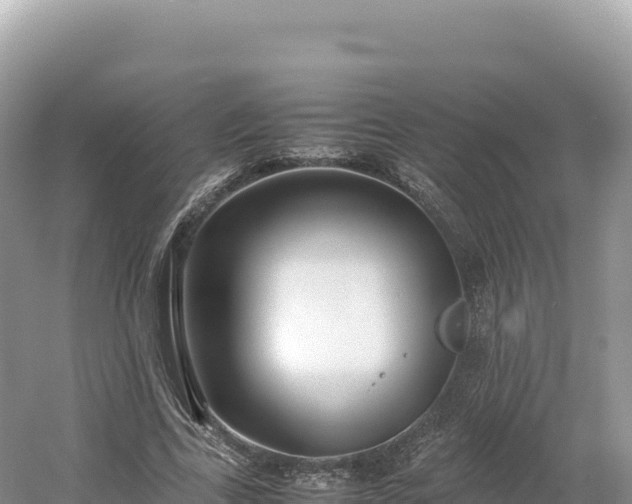 X0000054390731200508051647