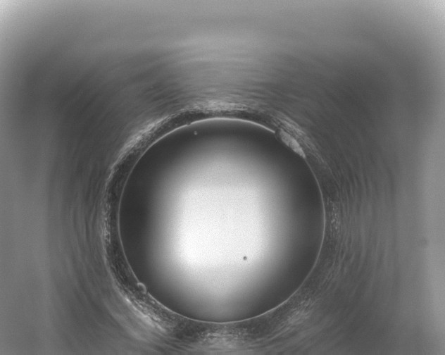 X0000054390732200508051647