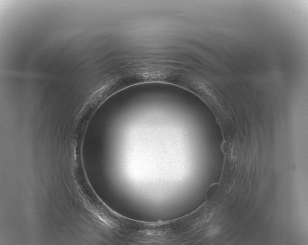 X0000054390733200508051647