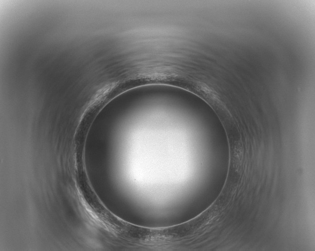 X0000054390734200508051647