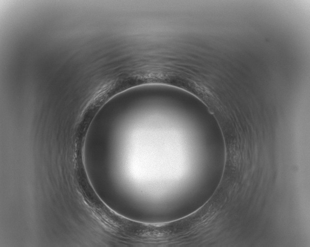 X0000054390735200508051647