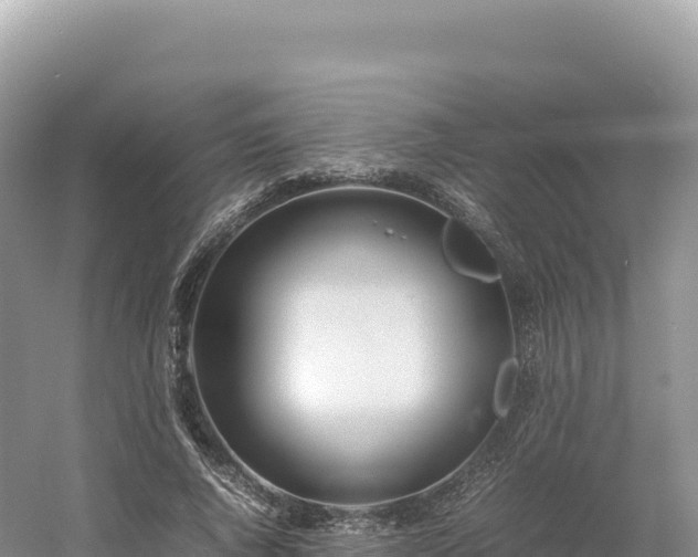 X0000054390736200508051647