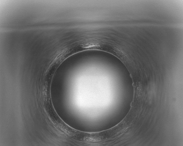 X0000054390739200508051647