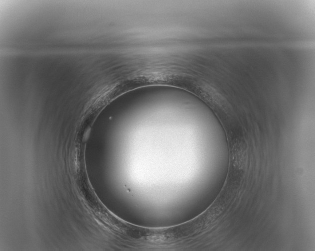 X0000054390740200508051647