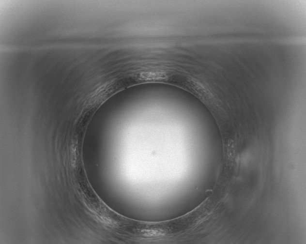 X0000054390741200508051647