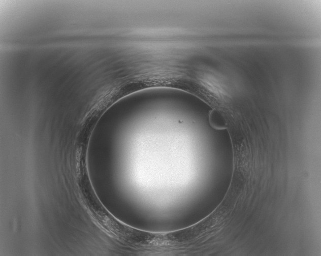 X0000054390742200508051647