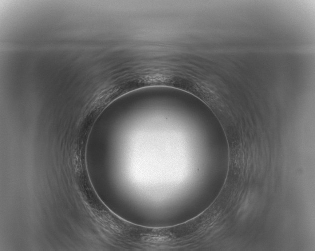 X0000054390743200508051647