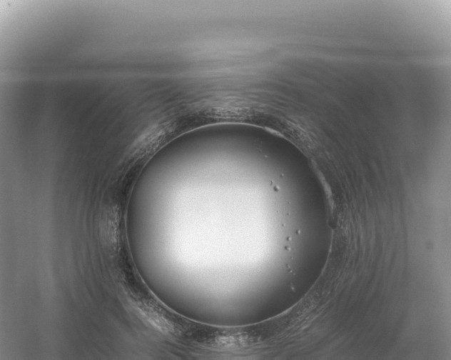 X0000054390744200508051647