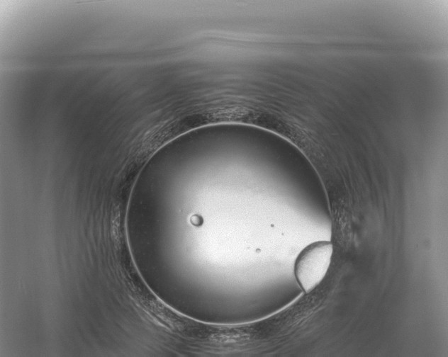 X0000054390745200508051647