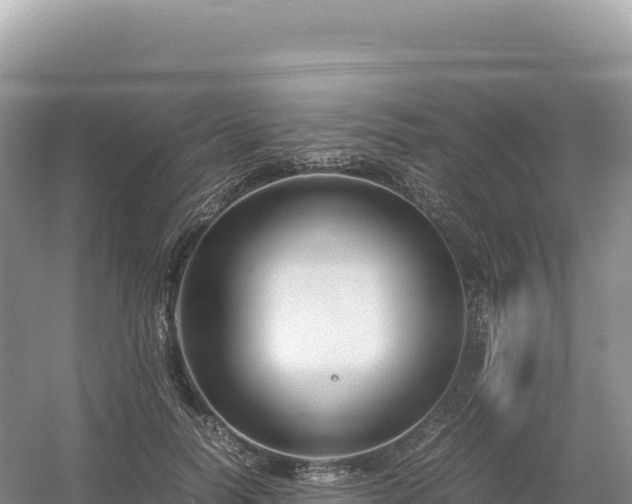 X0000054390746200508051647