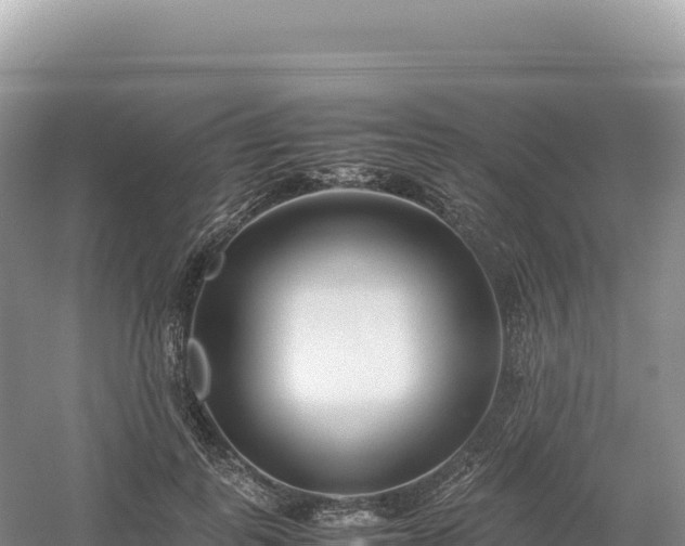 X0000054390747200508051647