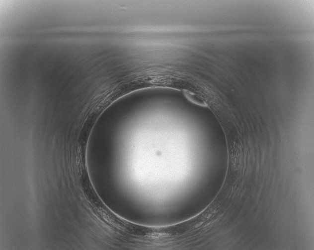 X0000054390748200508051647