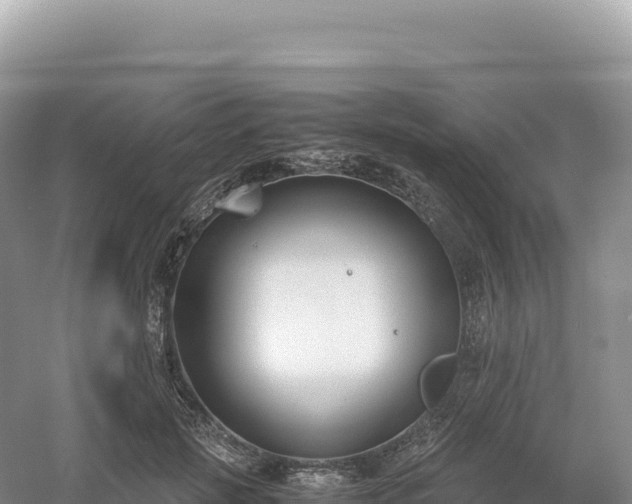 X0000054390749200508051647