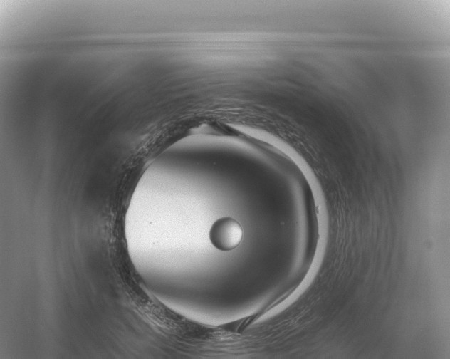 X0000054390750200508051647