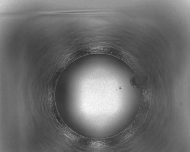 X0000054390753200508051647