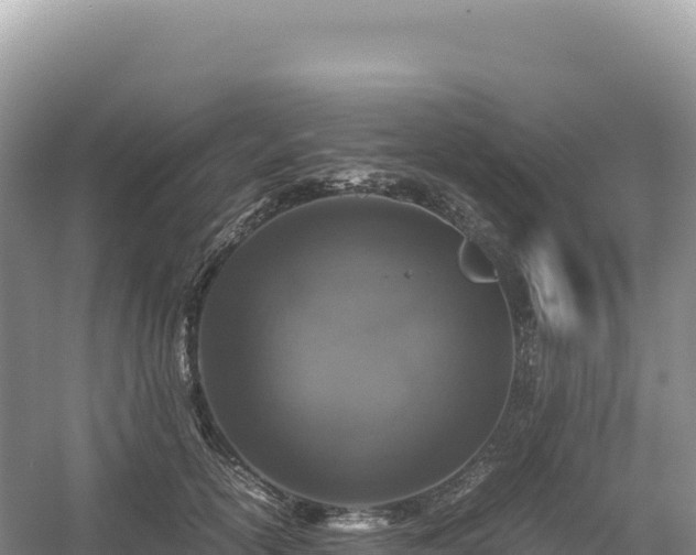 X0000054390754200508051647