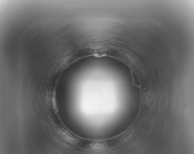 X0000054390756200508051647