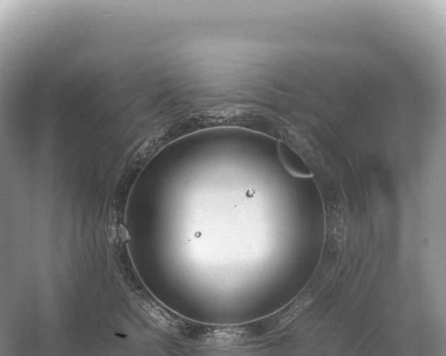 X0000054390758200508051647