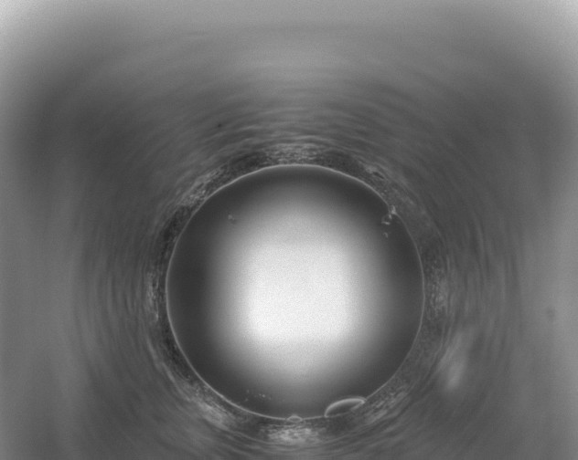 X0000054390759200508051647